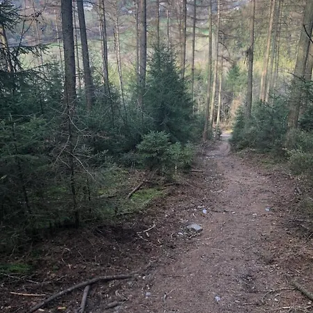 « en Toute Simplicite Chez Fabienne Et Bruno » *