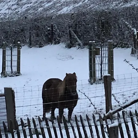 « en Toute Simplicite Chez Fabienne Et Bruno » Apartament *