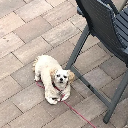 « en Toute Simplicite Chez Fabienne Et Bruno » דירה