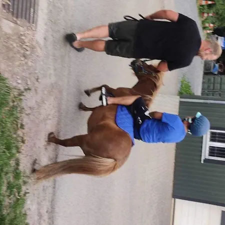 « en Toute Simplicite Chez Fabienne Et Bruno »